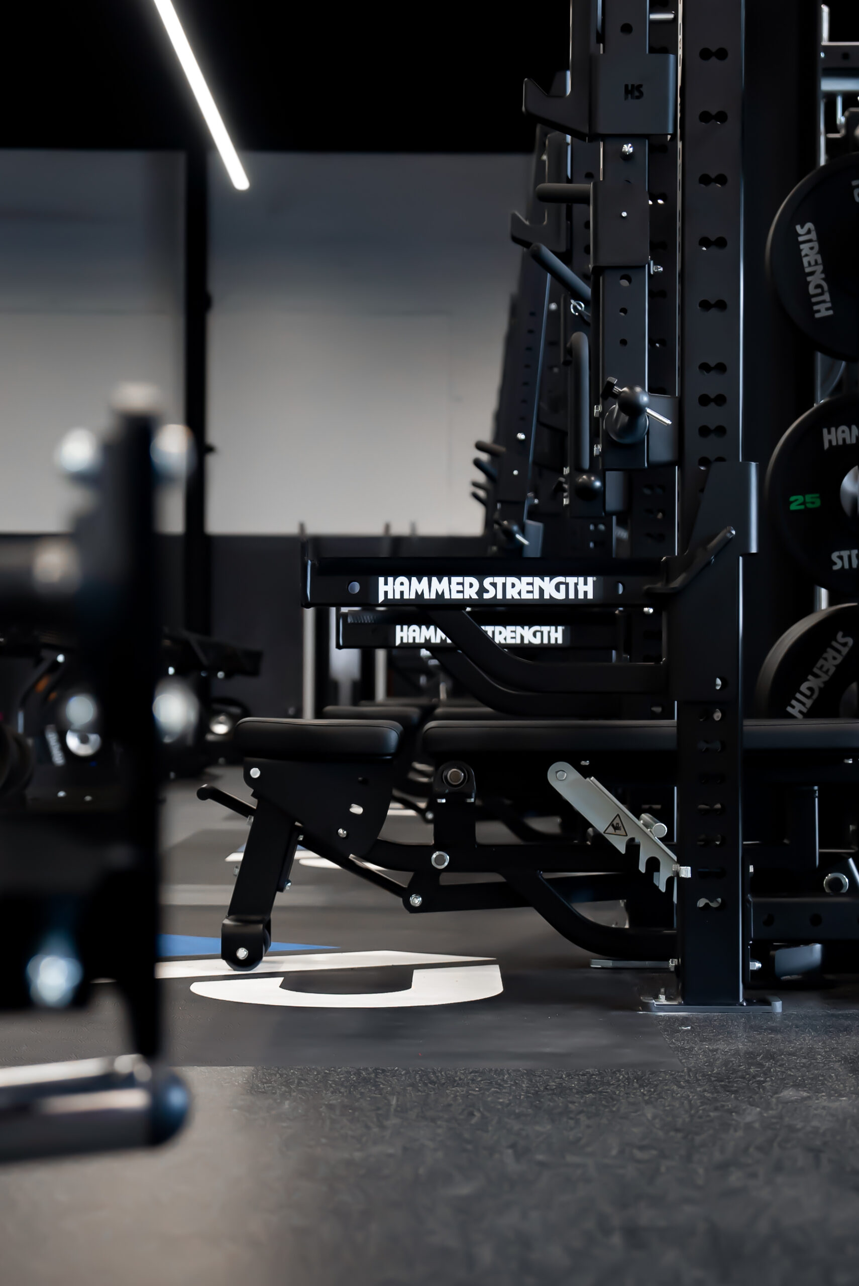 Alliance Performance Fitness Training